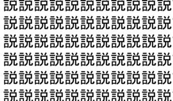 【脳トレ】「説」の中に紛れて1つ違う文字がある！？あなたは何秒で探し出せるかな？？【違う文字を探せ！】