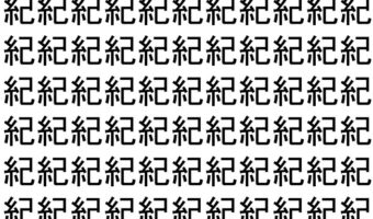 【脳トレ】「紀」の中に紛れて1つ違う文字がある！？あなたは何秒で探し出せるかな？？【違う文字を探せ！】