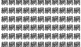 【脳トレ】「網」の中に紛れて1つ違う文字がある!?あなたは何秒で探し出せるかな??【違う文字を探せ!】