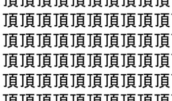 【脳トレ】「頂」の中に紛れて1つ違う文字がある！？あなたは何秒で探し出せるかな？？【違う文字を探せ！】