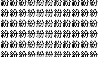 【脳トレ】「紛」の中に紛れて1つ違う文字がある!?あなたは何秒で探し出せるかな??【違う文字を探せ!】