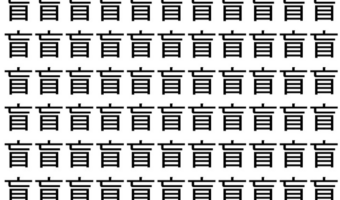 【脳トレ】「盲」の中に紛れて1つ違う文字がある！？あなたは何秒で探し出せるかな？？【違う文字を探せ！】