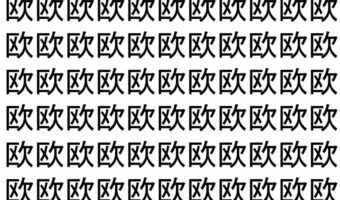 【脳トレ】「欧」の中に紛れて1つ違う文字がある!?あなたは何秒で探し出せるかな??【違う文字を探せ!】