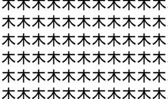 【脳トレ】「木」の中に紛れて1つ違う文字がある!?あなたは何秒で探し出せるかな??【違う文字を探せ!】