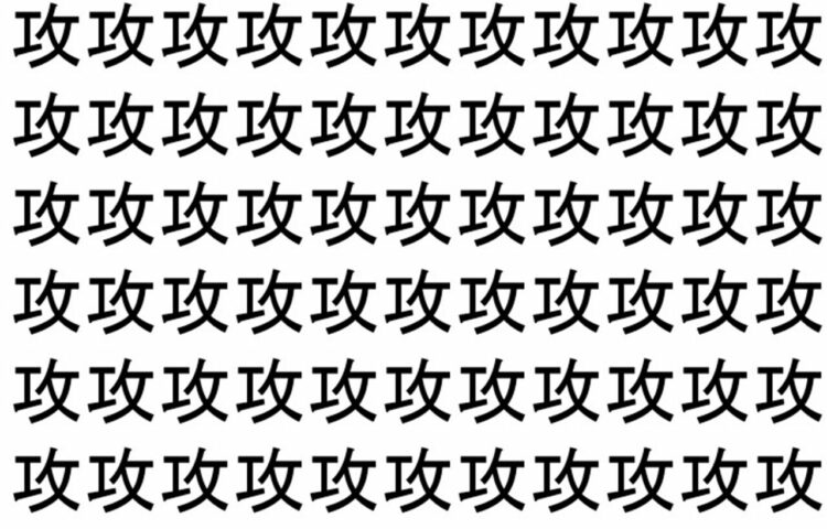 【脳トレ】「攻」の中に紛れて1つ違う文字がある！？あなたは何秒で探し出せるかな？？【違う文字を探せ！】
