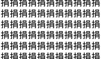 【脳トレ】「捐」の中に紛れて1つ違う文字がある！？あなたは何秒で探し出せるかな？？【違う文字を探せ！】