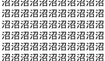 【脳トレ】「沼」の中に紛れて1つ違う文字がある!?あなたは何秒で探し出せるかな??【違う文字を探せ!】