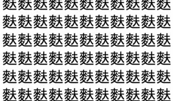 【脳トレ】「麩」の中に紛れて1つ違う文字がある!?あなたは何秒で探し出せるかな??【違う文字を探せ!】