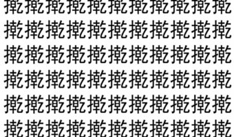 【脳トレ】「㨴」の中に紛れて1つ違う文字がある！？あなたは何秒で探し出せるかな？？【違う文字を探せ！】