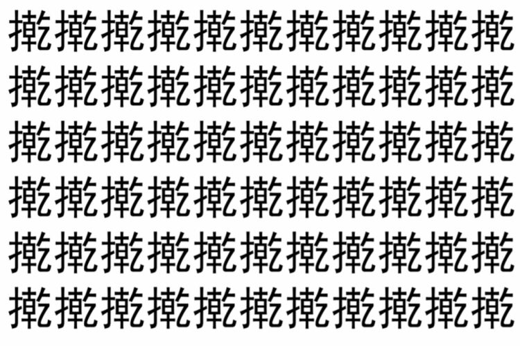 【脳トレ】「㨴」の中に紛れて1つ違う文字がある！？あなたは何秒で探し出せるかな？？【違う文字を探せ！】