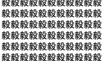【脳トレ】「毅」の中に紛れて1つ違う文字がある!?あなたは何秒で探し出せるかな??【違う文字を探せ!】