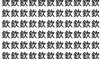 【脳トレ】「欽」の中に紛れて1つ違う文字がある!?あなたは何秒で探し出せるかな??【違う文字を探せ!】