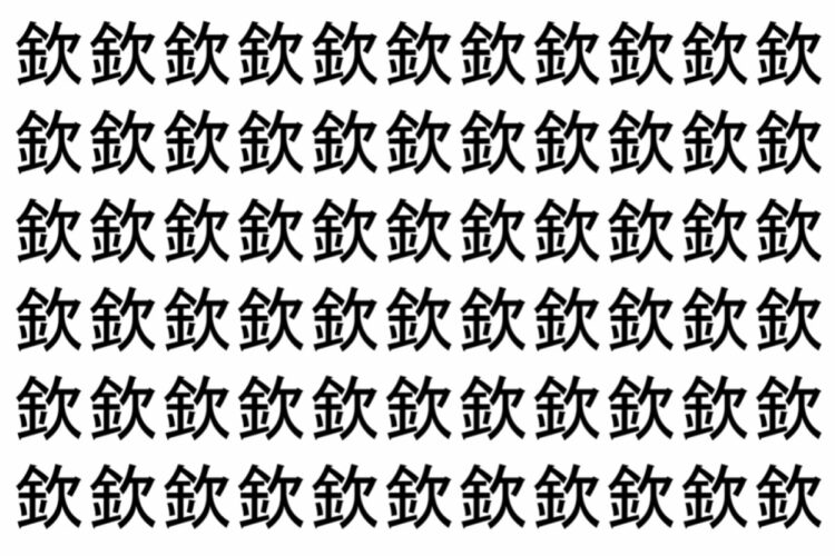 【脳トレ】「欽」の中に紛れて1つ違う文字がある！？あなたは何秒で探し出せるかな？？【違う文字を探せ！】