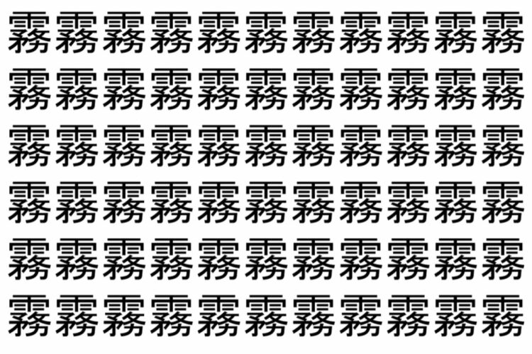 【脳トレ】「霧」の中に紛れて1つ違う文字がある！？あなたは何秒で探し出せるかな？？【違う文字を探せ！】