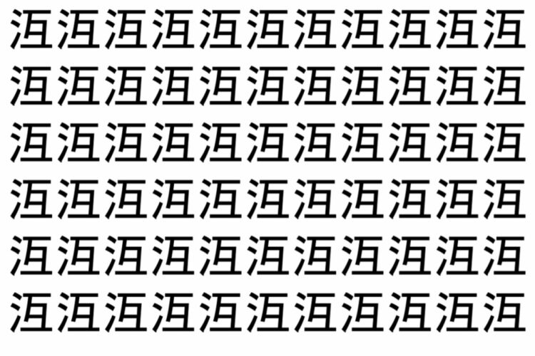 【脳トレ】「沍」の中に紛れて1つ違う文字がある！？あなたは何秒で探し出せるかな？？【違う文字を探せ！】