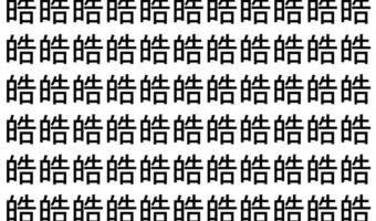【脳トレ】「皓」の中に紛れて1つ違う文字がある!?あなたは何秒で探し出せるかな??【違う文字を探せ!】