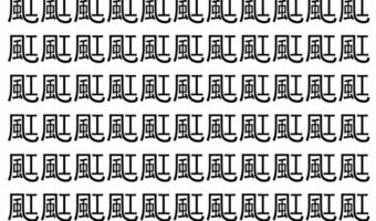【脳トレ】「䫹」の中に紛れて1つ違う文字がある!?あなたは何秒で探し出せるかな??【違う文字を探せ!】