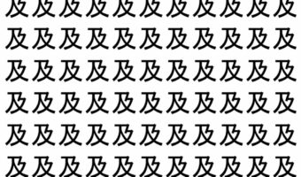 【脳トレ】「及」の中に紛れて1つ違う文字がある!?あなたは何秒で探し出せるかな??【違う文字を探せ!】