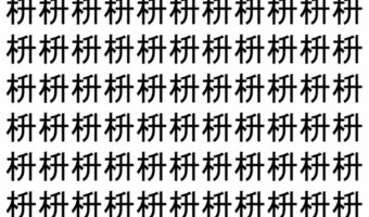 【脳トレ】「枡」の中に紛れて1つ違う文字がある!?あなたは何秒で探し出せるかな??【違う文字を探せ!】