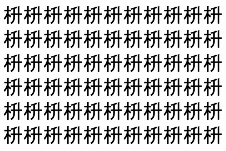 【脳トレ】「枡」の中に紛れて1つ違う文字がある！？あなたは何秒で探し出せるかな？？【違う文字を探せ！】