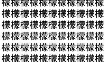 【脳トレ】「檬」の中に紛れて1つ違う文字がある!?あなたは何秒で探し出せるかな??【違う文字を探せ!】