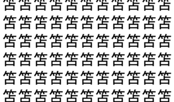 【脳トレ】「笘」の中に紛れて1つ違う文字がある！？あなたは何秒で探し出せるかな？？【違う文字を探せ！】
