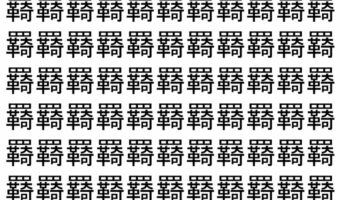 【脳トレ】「羇」の中に紛れて1つ違う文字がある!?あなたは何秒で探し出せるかな??【違う文字を探せ!】