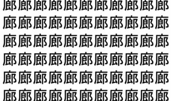 【脳トレ】「廊」の中に紛れて1つ違う文字がある!?あなたは何秒で探し出せるかな??【違う文字を探せ!】