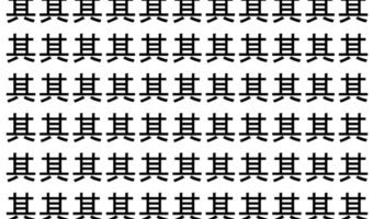 【脳トレ】「其」の中に紛れて1つ違う文字がある！？あなたは何秒で探し出せるかな？？【違う文字を探せ！】