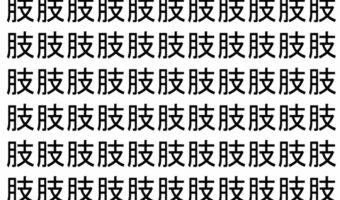 【脳トレ】「肢」の中に紛れて1つ違う文字がある!?あなたは何秒で探し出せるかな??【違う文字を探せ!】