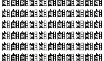 【脳トレ】「齟」の中に紛れて1つ違う文字がある!?あなたは何秒で探し出せるかな??【違う文字を探せ!】