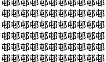 【脳トレ】「邨」の中に紛れて1つ違う文字がある！？あなたは何秒で探し出せるかな？？【違う文字を探せ！】