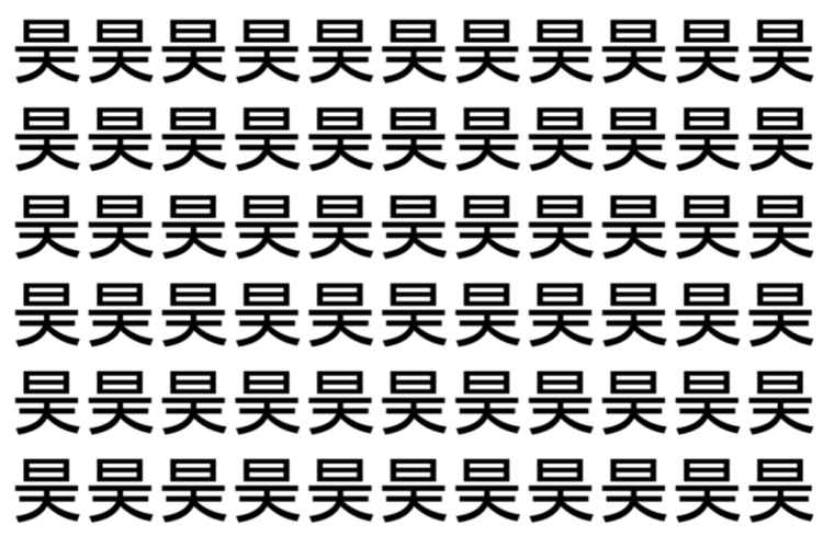 【脳トレ】「昊」の中に紛れて1つ違う文字がある！？あなたは何秒で探し出せるかな？？【違う文字を探せ！】