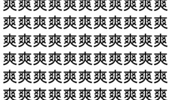 【脳トレ】「爽」の中に紛れて1つ違う文字がある！？あなたは何秒で探し出せるかな？？【違う文字を探せ！】