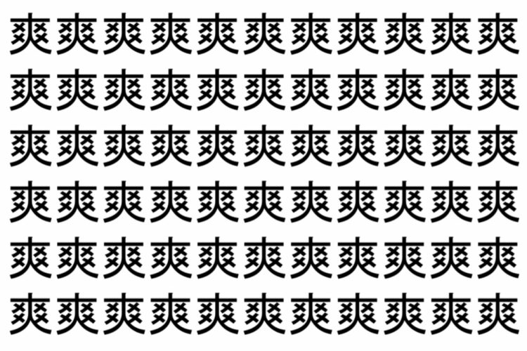 【脳トレ】「爽」の中に紛れて1つ違う文字がある！？あなたは何秒で探し出せるかな？？【違う文字を探せ！】