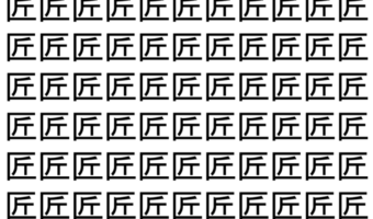 【脳トレ】「匠」の中に紛れて1つ違う文字がある!?あなたは何秒で探し出せるかな??【違う文字を探せ!】