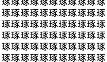 【脳トレ】「琢」の中に紛れて1つ違う文字がある!?あなたは何秒で探し出せるかな??【違う文字を探せ!】