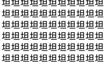 【脳トレ】「坦」の中に紛れて1つ違う文字がある!?あなたは何秒で探し出せるかな??【違う文字を探せ!】