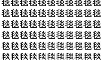 【脳トレ】「毯」の中に紛れて1つ違う文字がある!?あなたは何秒で探し出せるかな??【違う文字を探せ!】