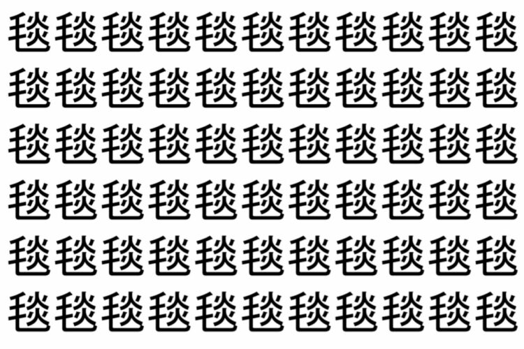 【脳トレ】「毯」の中に紛れて1つ違う文字がある！？あなたは何秒で探し出せるかな？？【違う文字を探せ！】