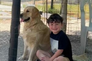 犬たちに懐かれている男の子。てっきり、みんな愛犬なのかと思ったら・・【アメリカ・動画】