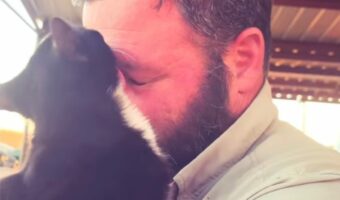 パパさんを毛づくろい？顔や頭におひげをペロペロ綺麗していく猫。この子は誰にも止められない！！【アメリカ・動画】