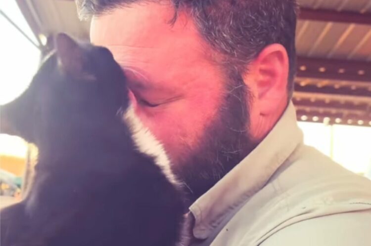 パパさんを毛づくろい？顔や頭におひげをペロペロ綺麗していく猫。この子は誰にも止められない！！【アメリカ・動画】