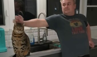 バレないようにこっそり猫の耳を触ったら・・、そのリアクションに注目！！【海外・動画】