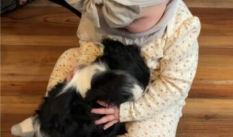 出会ってすぐにお友達になった赤ちゃんと子犬。ふたりの尊いやり取りに癒される人が続出！【アメリカ・動画】