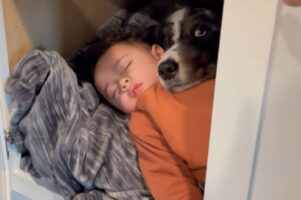 ママが作業をしている間おとなしくしていた女の子と愛犬。ふたりの様子を見に行くと・・尊い光景が！！【アメリカ・動画】