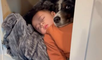 ママが作業をしている間おとなしくしていた女の子と愛犬。ふたりの様子を見に行くと・・尊い光景が!!【アメリカ・動画】