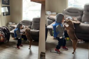 ふたりはとっても仲良し！男の子と子犬のダンス！！【アメリカ・動画】