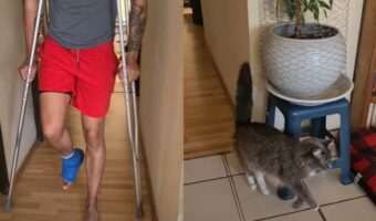 飼い主さんのまねっこをする猫がかわいすぎる。松葉杖で移動する男性の後ろをピョコピョコ・・おててを上げて歩いてる！！