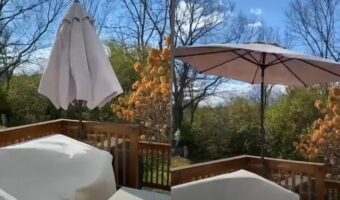 強風でガーデンパラソルが開いたと思ったら・・更にビックリな展開に！！